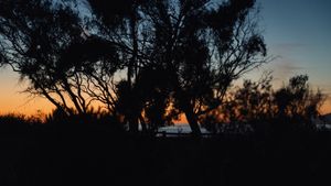 Sands Beach, Isla Vista